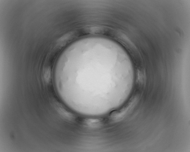 X0000114030189200910161828