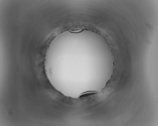 X0000114030192200910161828