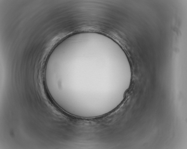 X0000114030193200910161827