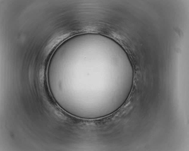 X0000114030194200910161827