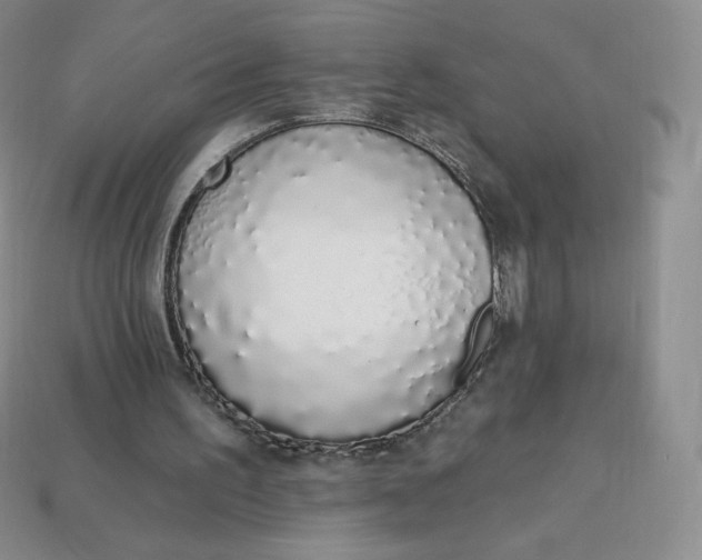 X0000114030195200910161827