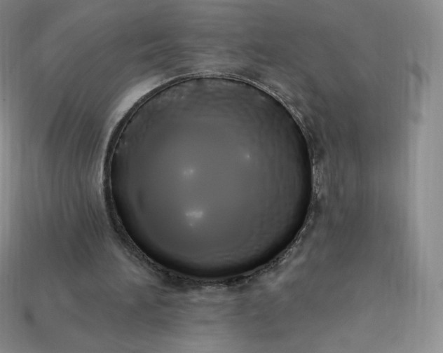 X0000114030196200910161827