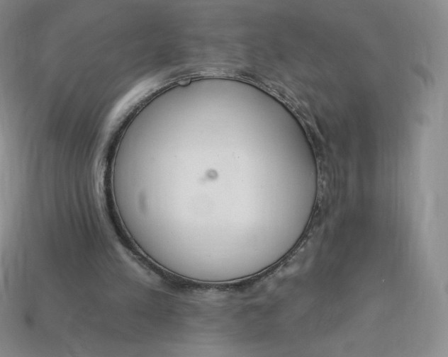 X0000114030197200910161827