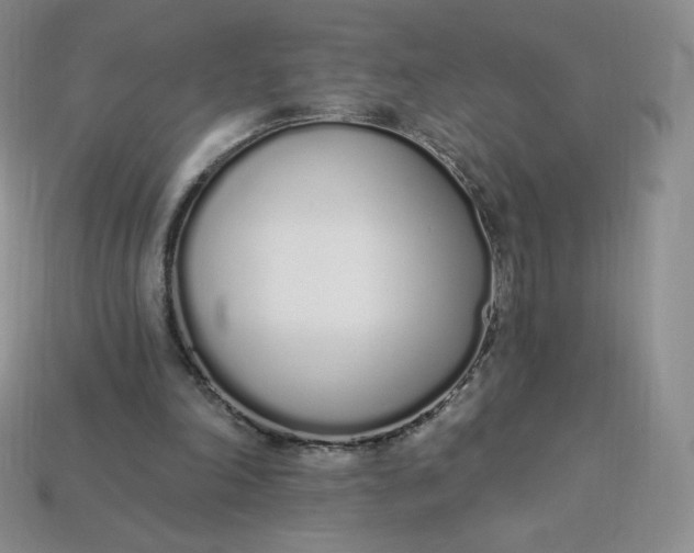 X0000114030198200910161827