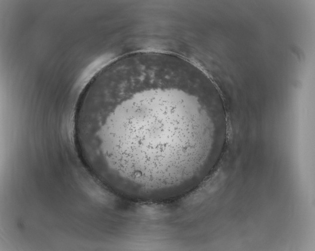 X0000114030199200910161827