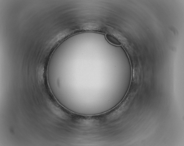 X0000114030201200910161827