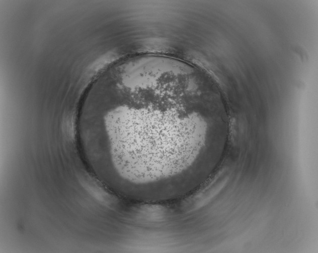 X0000114030203200910161827