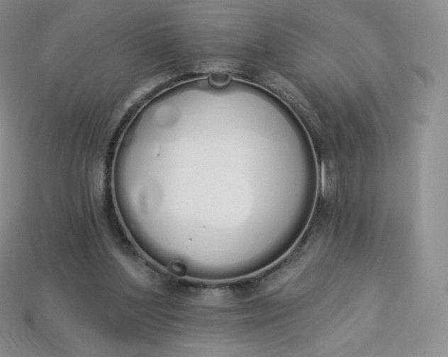 X0000114030204200910161827