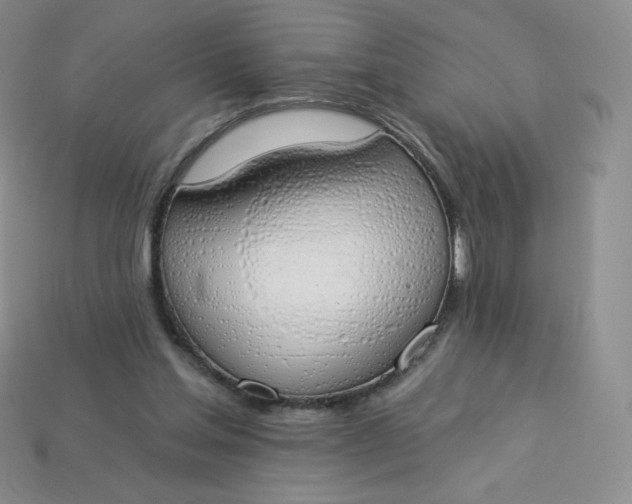 X0000114030205200910161827