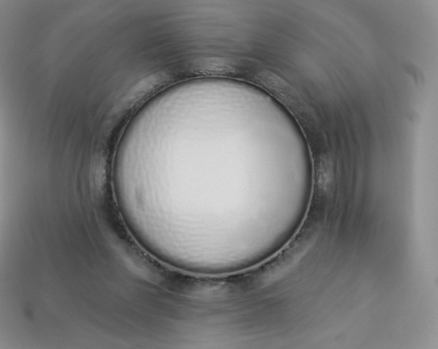 X0000114030206200910161827