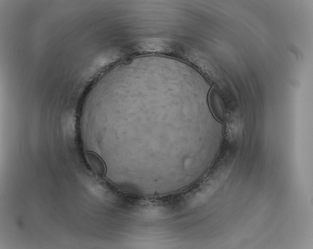 X0000114030207200910161827