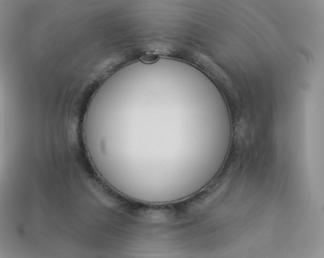 X0000114030209200910161827