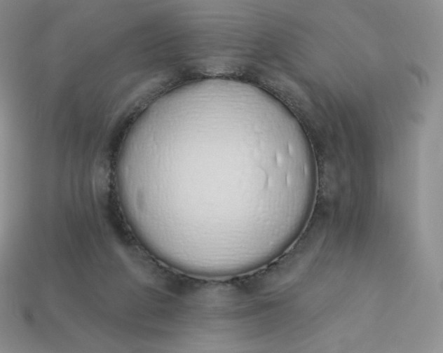 X0000114030210200910161827