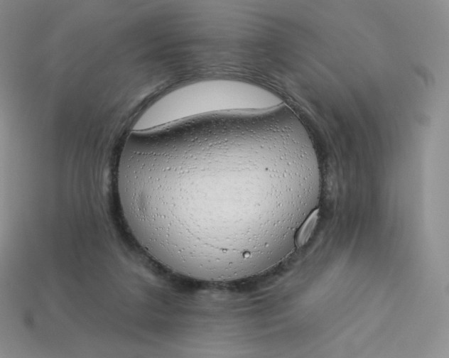 X0000114030211200910161827