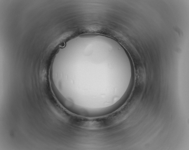 X0000114030212200910161827