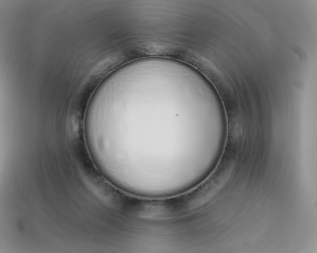 X0000114030214200910161827