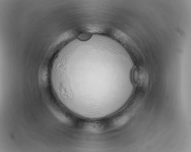 X0000114030215200910161827