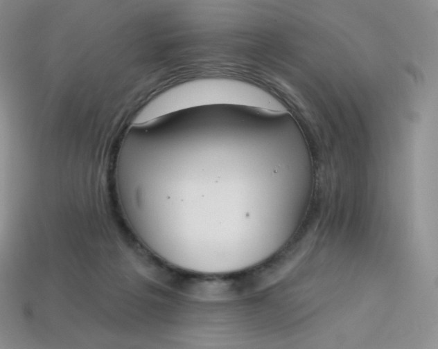 X0000114030217200910161827