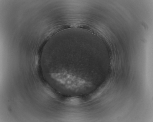 X0000114030219200910161827