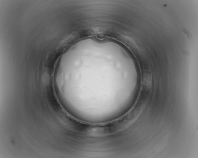 X0000114030220200910161827