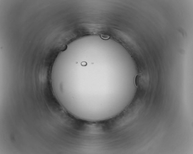 X0000114030221200910161827