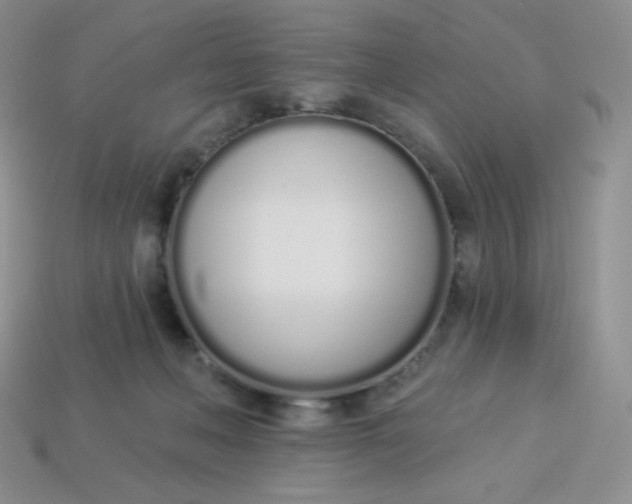 X0000114030222200910161827