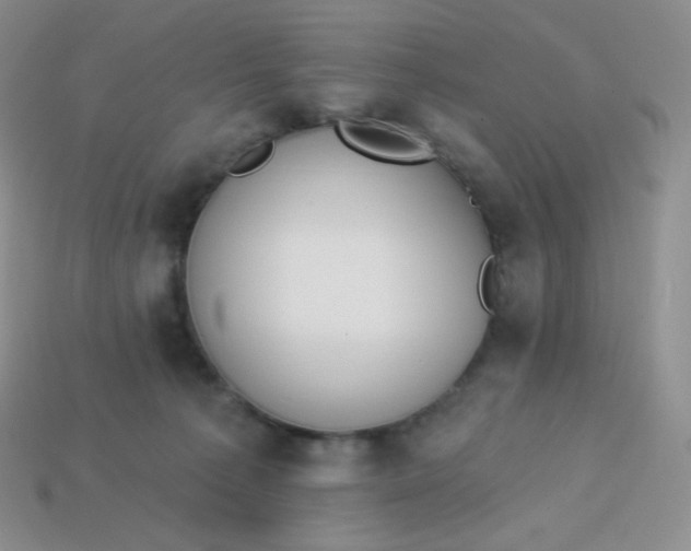 X0000114030225200910161827