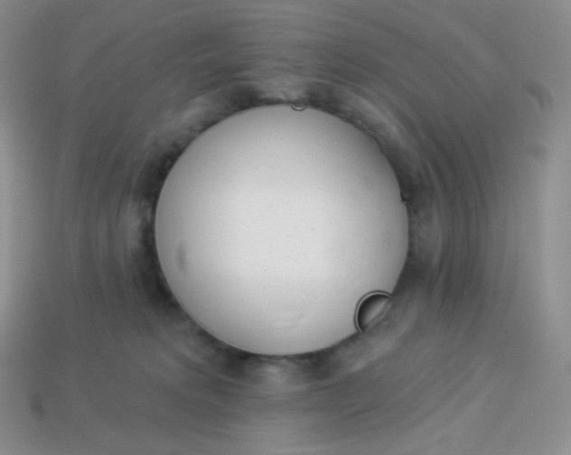 X0000114030229200910161827