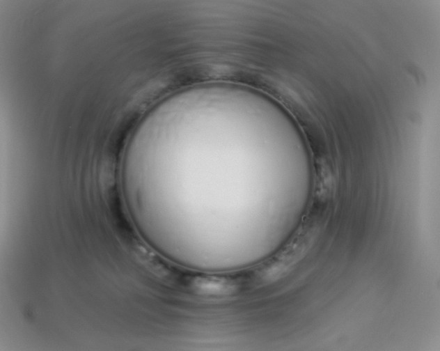 X0000114030230200910161827