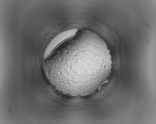 X0000114030231200910161827