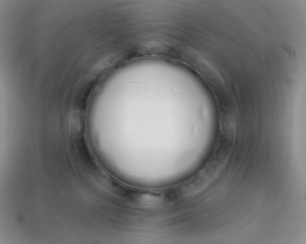 X0000114030232200910161827