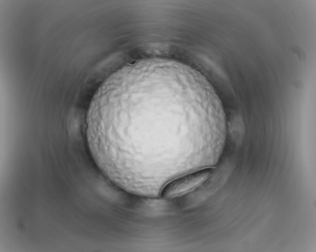 X0000114030233200910161827