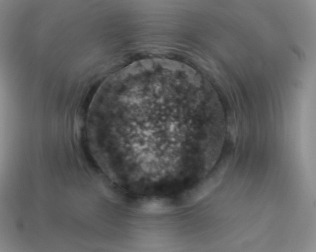 X0000114030235200910161827