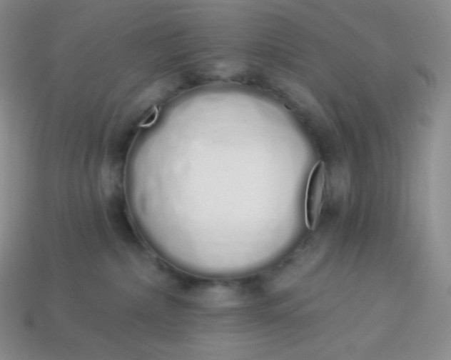 X0000114030236200910161827