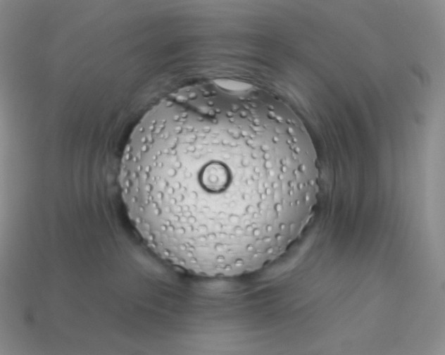 X0000114030237200910161827