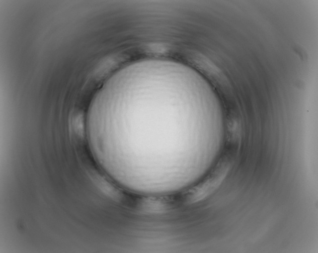 X0000114030238200910161827