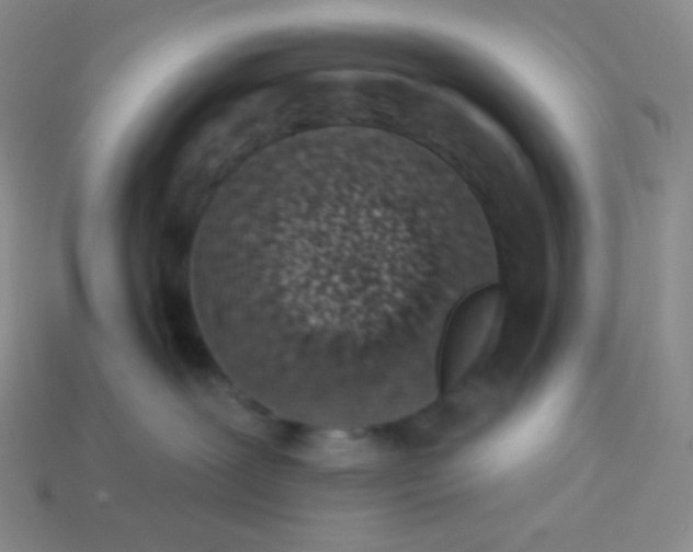 X0000114030239200910161827