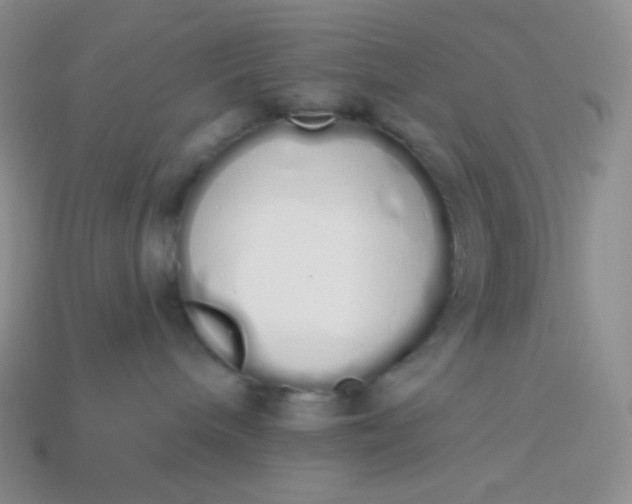 X0000114030240200910161827