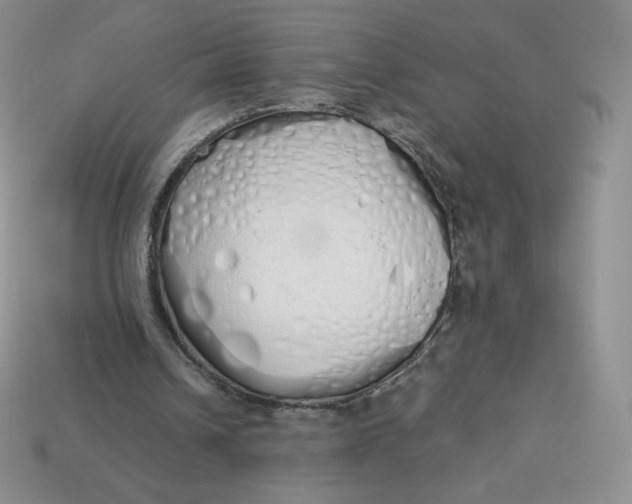 X0000114030242200910161826