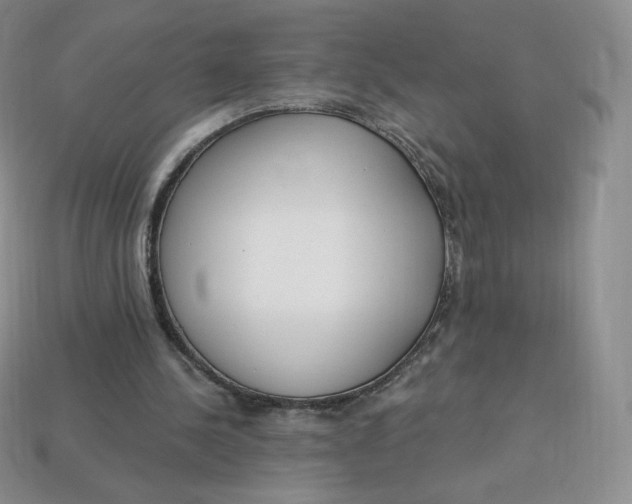 X0000114030244200910161826