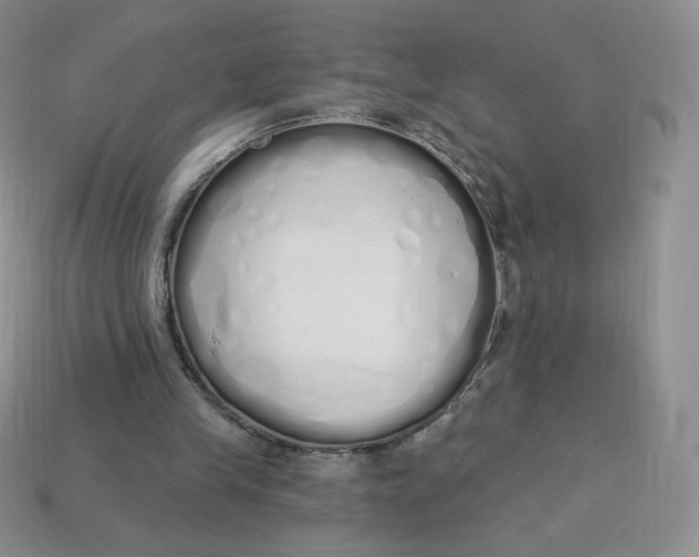 X0000114030245200910161826