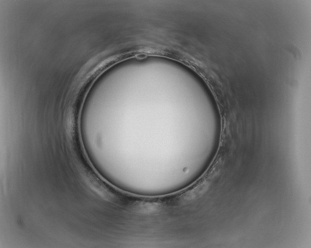 X0000114030247200910161826