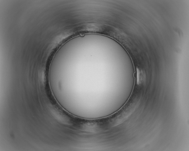 X0000114030252200910161826