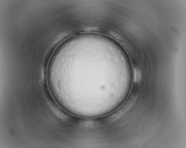 X0000114030253200910161826