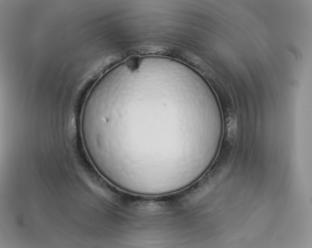 X0000114030254200910161826