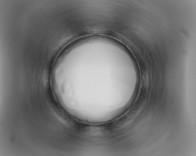 X0000114030255200910161826