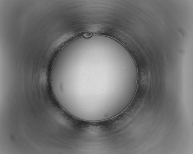 X0000114030256200910161826