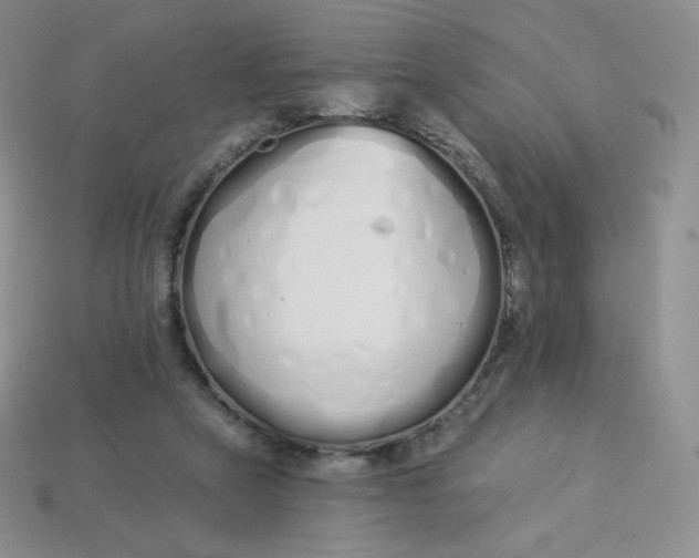 X0000114030257200910161826