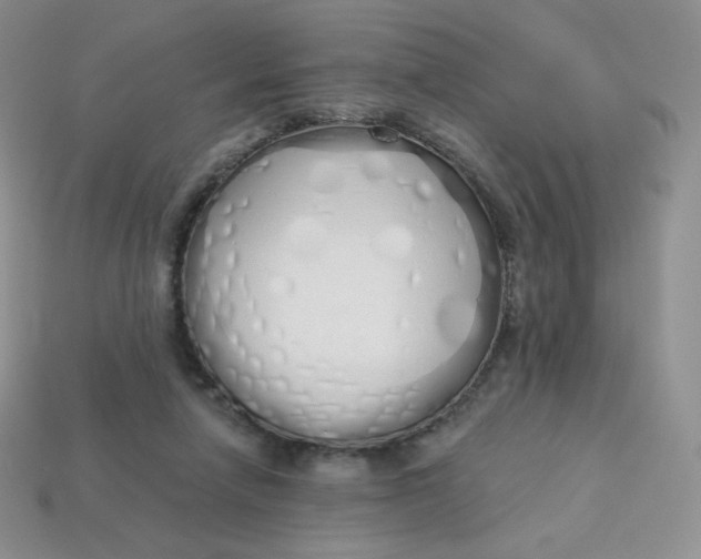 X0000114030258200910161826