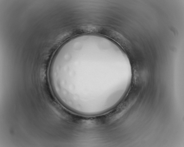 X0000114030259200910161826